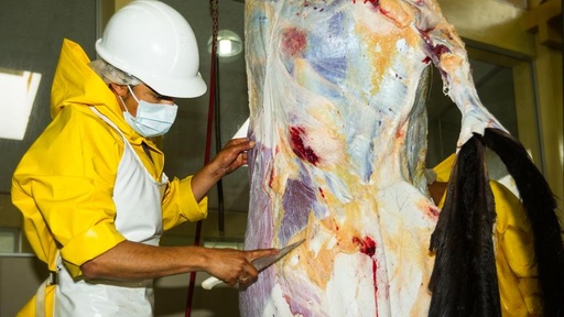  Frais d'abattage et de dépeçage, vidage et mise en sac (25€/Agneau)